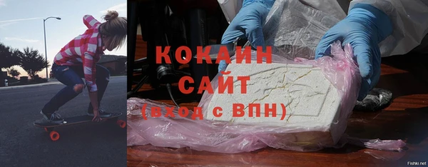 крисы Надым
