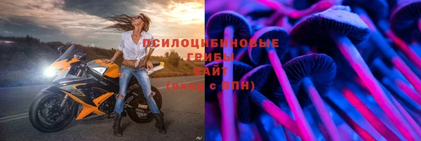 герыч Алагир