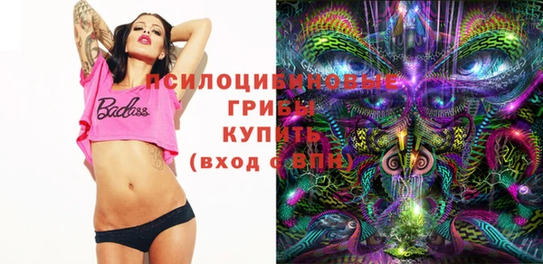 PSILOCYBIN Михайлов
