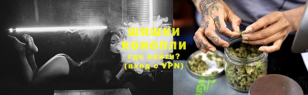 крисы Надым