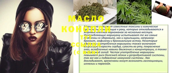 крисы Надым