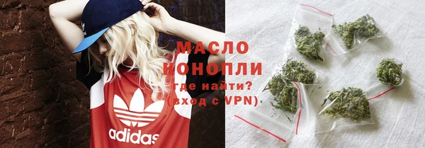 крисы Надым