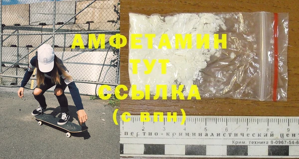 крисы Надым