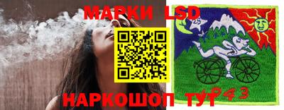 мяу мяу мука Кимры