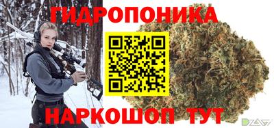 индика Бийск