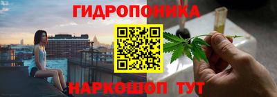 индика Бийск