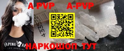 индика Камышлов
