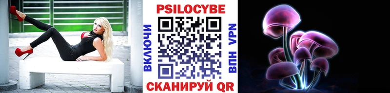 Псилоцибиновые грибы Psilocybine cubensis  Магадан 