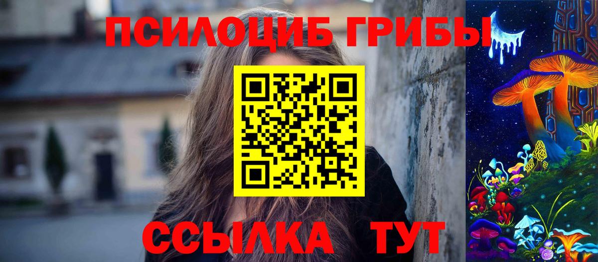 Псилоцибиновые грибы мицелий  Магадан 