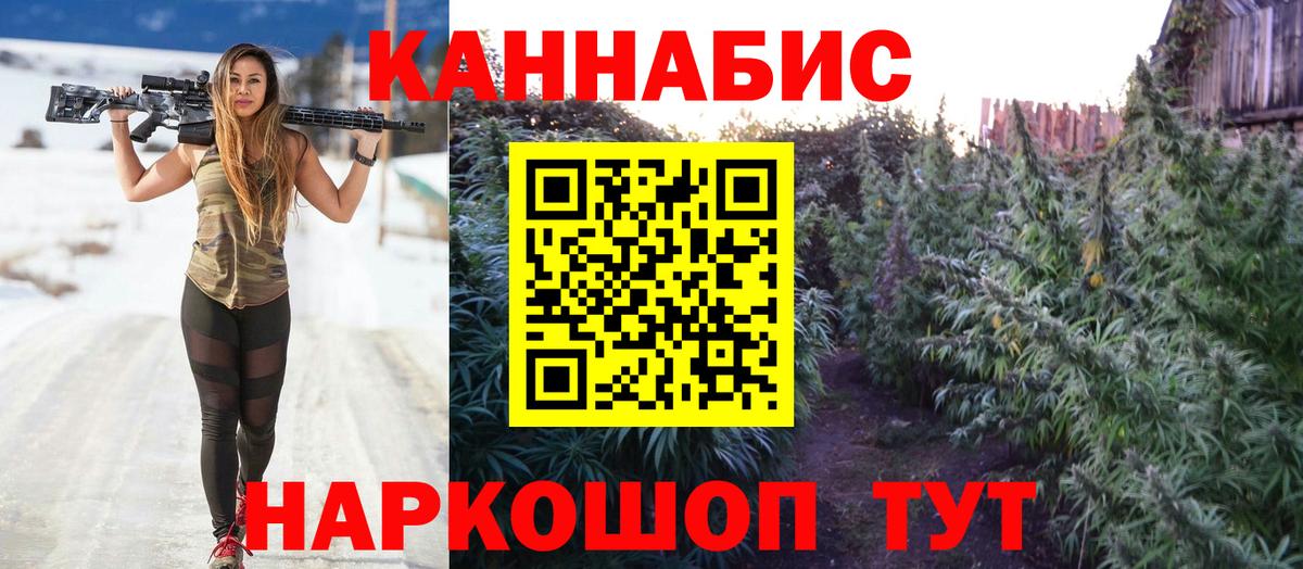 Канабис гибрид  Магадан  Бошки Шишки индика  МАРИХУАНА MAZAR 